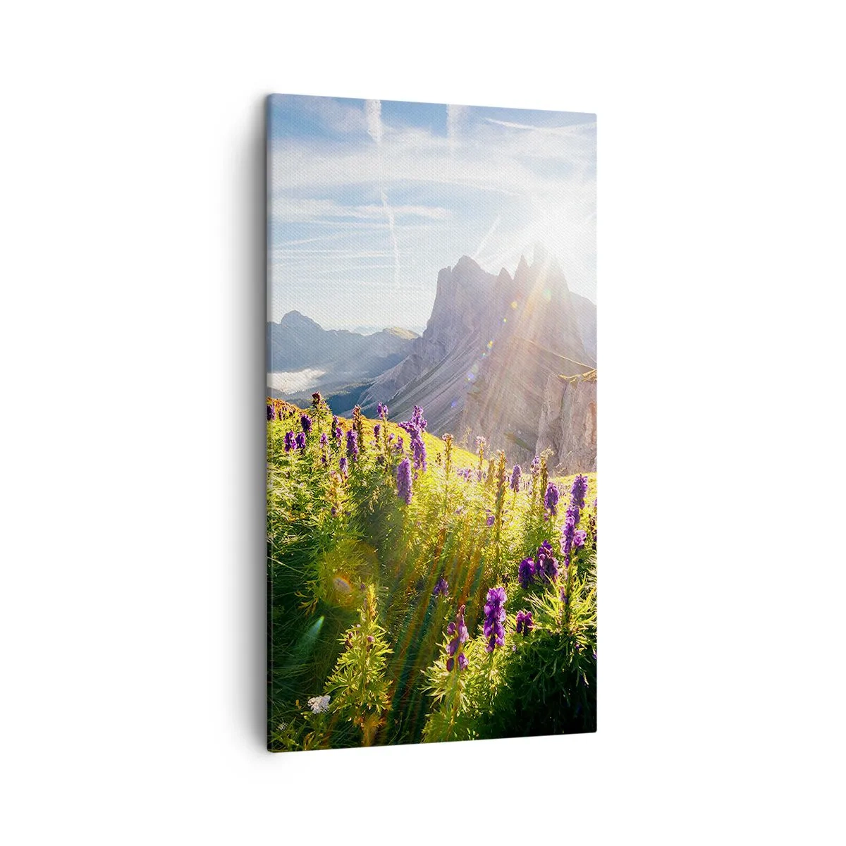 Impression sur toile - Image sur toile - La vie secrète des herbes - 45x80 cm