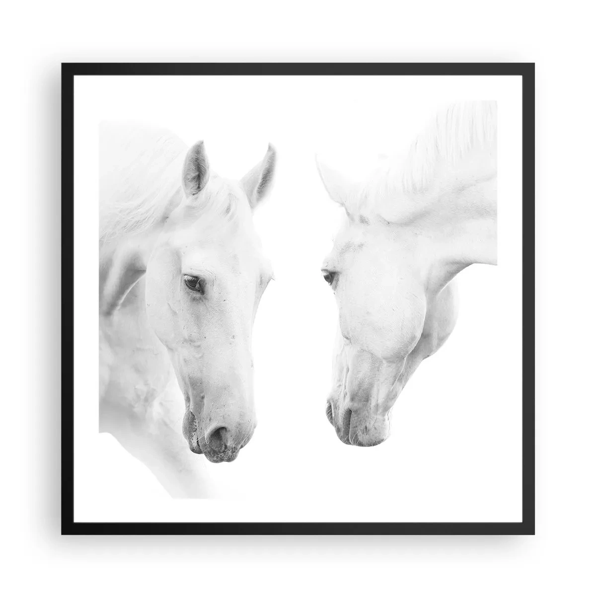 Affiche dans un cadre noir - Poster - Serait-ce de l’amitié? - 60x60 cm