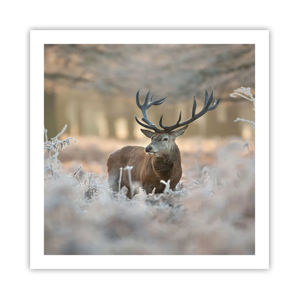 Affiche - Poster - Une matinée animée - 60x60 cm