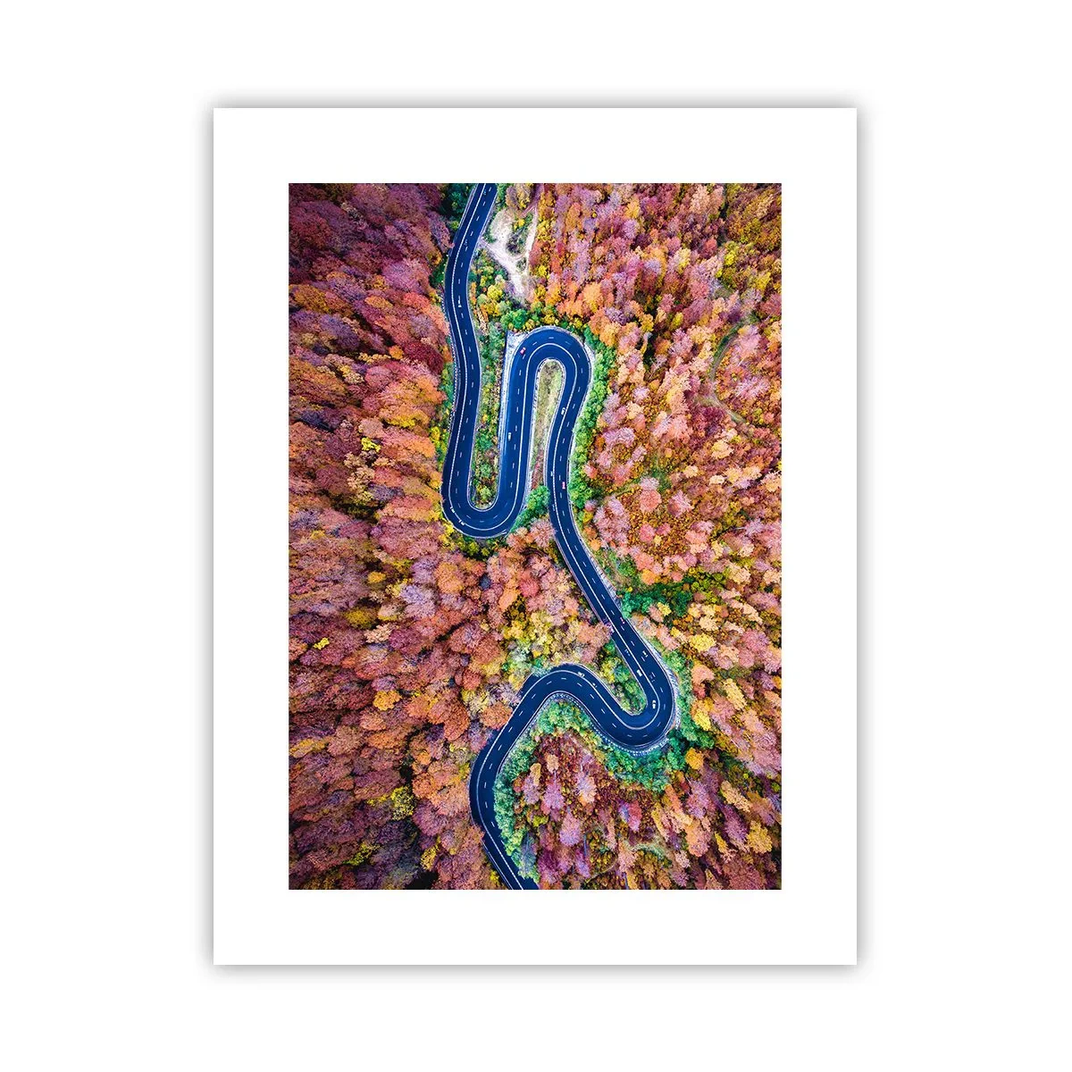 Affiche - Poster - Route sinueuse à travers la forêt - 30x40 cm