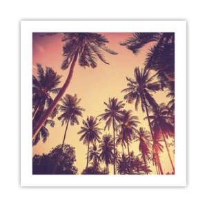 Affiche - Poster - Variation tropicale - 50x50 cm