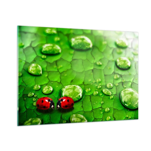 Impression sur verre - Image sur verre - Deux coccinelles sur une feuille verte avec des gouttes d'eau - 100x70cm - Rendez-vous au vert - Décoration murale moderne pour le salon et la chambre ARTTOR