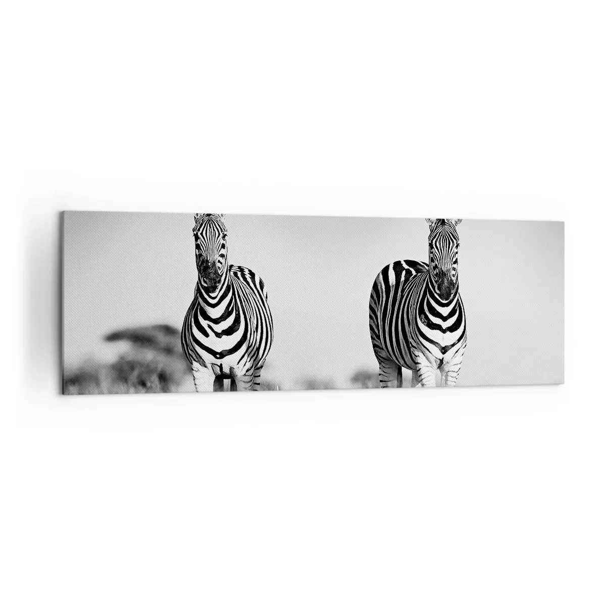 Impression sur toile - Image sur toile - Deux zèbres dans la savane dans un style monochrome - 160x50cm - Le monde est bel et bien noir et blanc - Décoration murale moderne pour le salon et la chambre ARTTOR