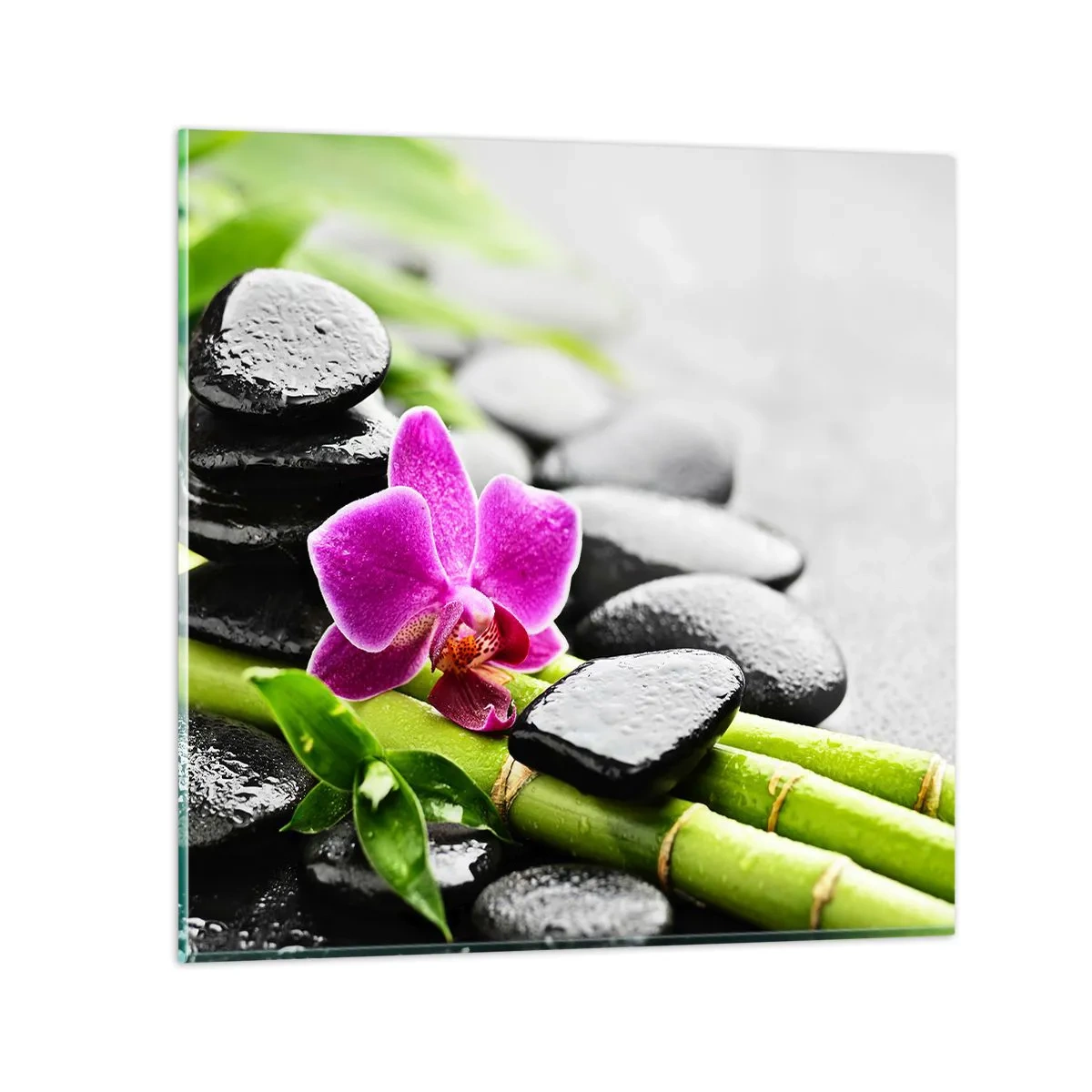 Impression sur verre - Image sur verre - Dans un équilibre de calme - 40x40 cm