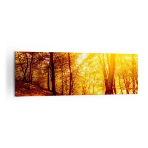 Impression sur toile - Image sur toile - Clairière d'automne sous le soleil doré avec un sentier forestier - 160x50cm - Vers la clairière dorée - Décoration murale moderne pour le salon et la chambre ARTTOR