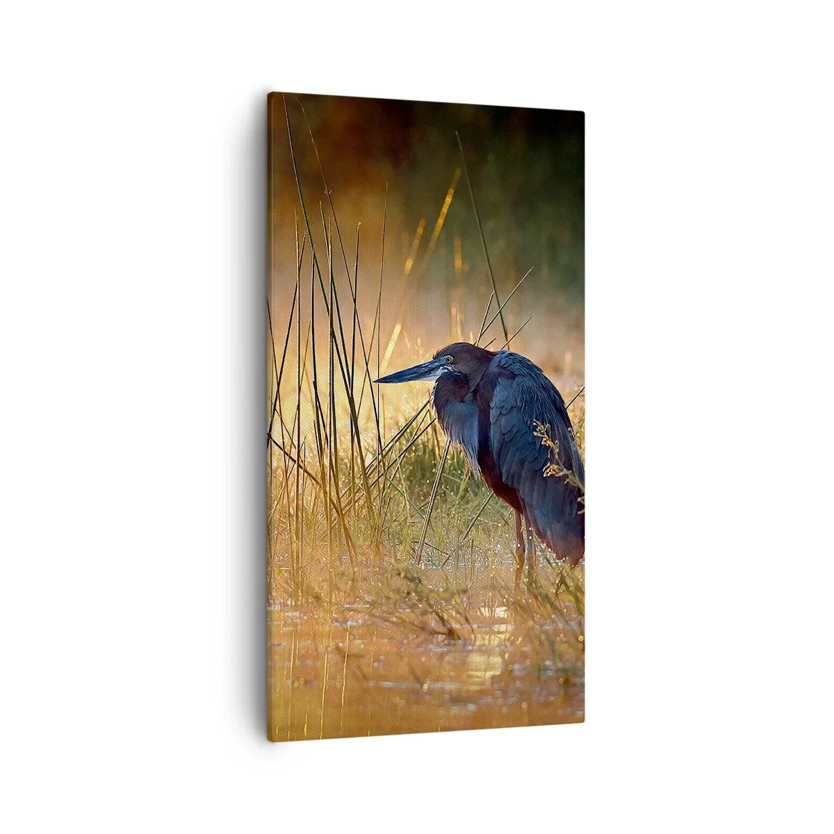 Impression sur toile - Image sur toile - Allez, laissez-moi en paix avec ces photos - 55x100 cm