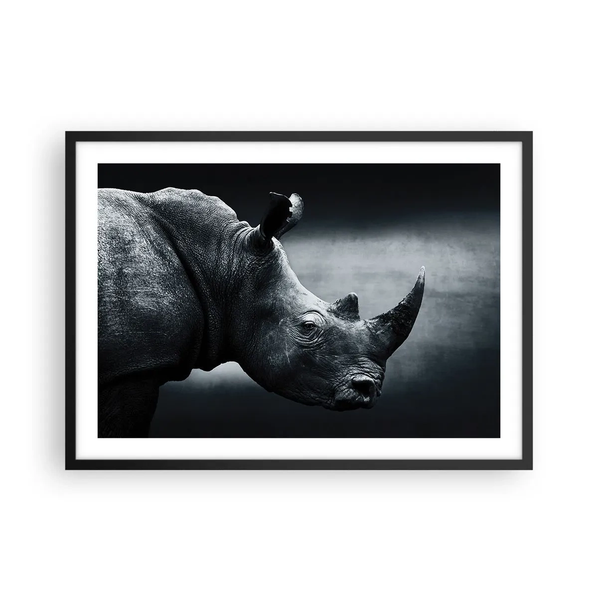 Affiche dans un cadre noir - Poster - Portrait noir et blanc d'un rhinocéros sur fond sombre - 70x50cm - Le profil droit - Décoration murale moderne pour le salon et la chambre ARTTOR