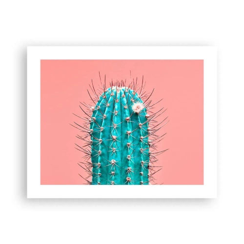 Affiche - Poster - Juste regarde - 50x40 cm