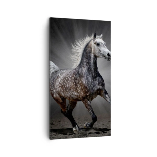 Impression sur toile - Image sur toile - Le gris est beau - 45x80 cm