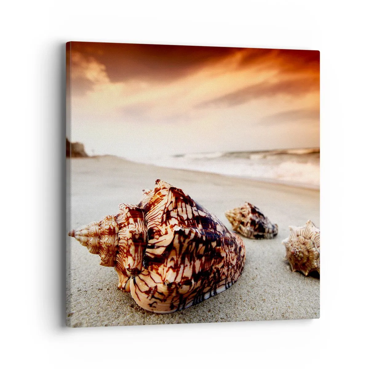 Impression sur toile - Image sur toile - Les parias des vagues - 40x40 cm