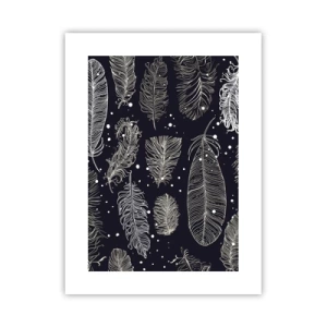 Affiche - Poster - Toile de plumes - 30x40 cm