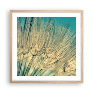 Affiche dans un chêne clair - Poster - En attente du vent - 50x50 cm