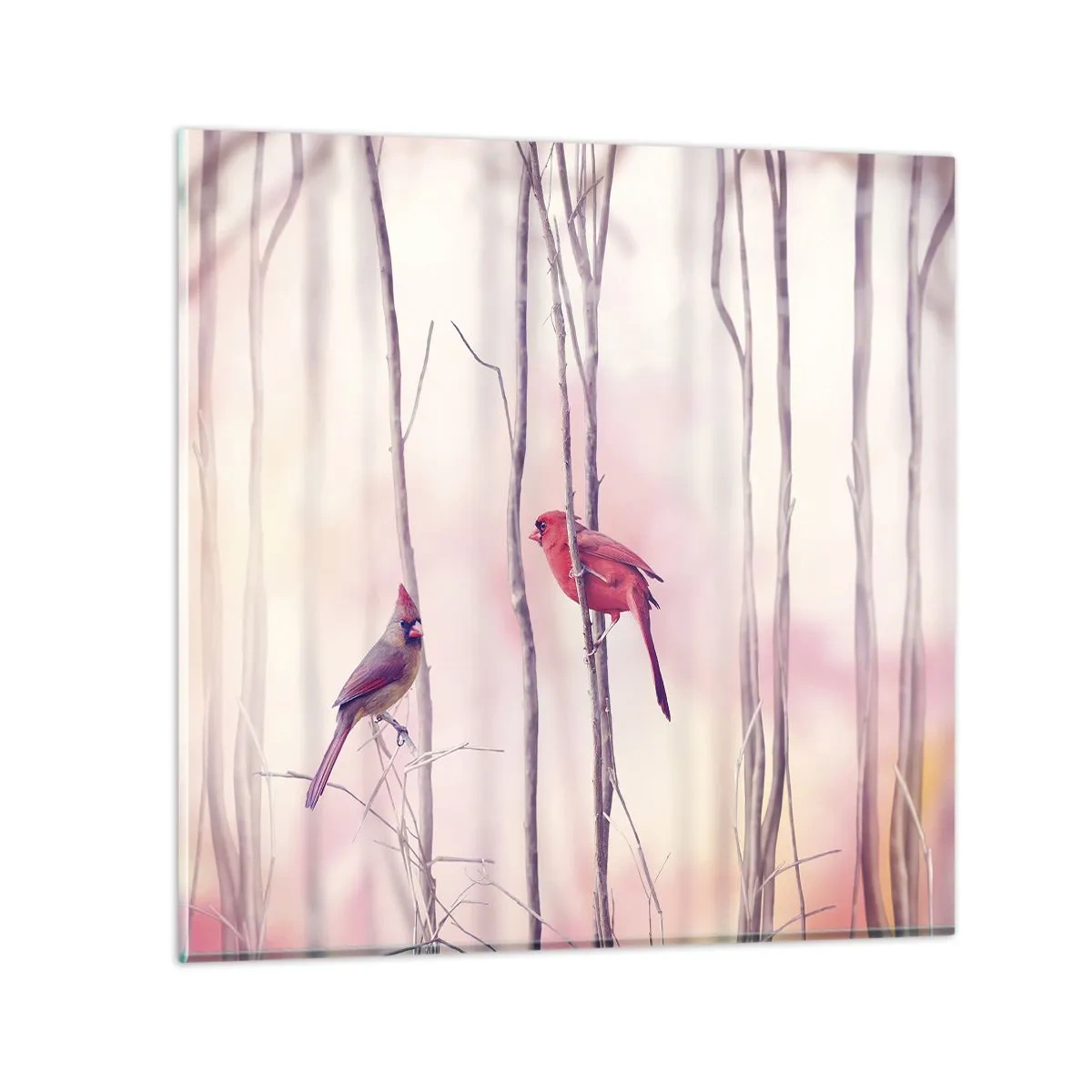Impression sur verre - Image sur verre - Conte de la forêt rose - 60x60 cm