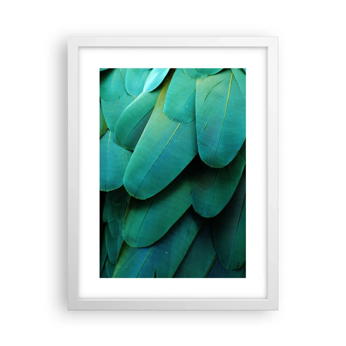 Affiche dans un cadre blanc - Poster - Perfection de la nature du perroquet - 30x40 cm