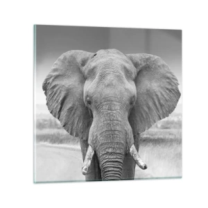 Impression sur verre - Image sur verre - Bienvenue dans mon monde - 70x70 cm