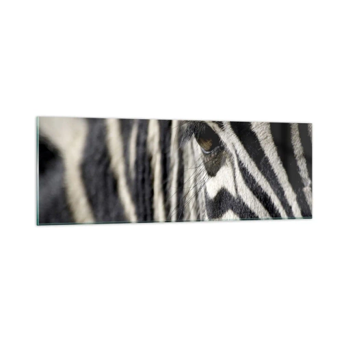 Impression sur verre - Image sur verre - Portrait en rayure - 90x30 cm