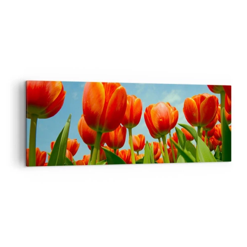 Impression sur toile - Image sur toile - Un champ de tulipes rouges et oranges contre un ciel bleu - 140x50cm - A part le ciel bleu, ils n'ont besoin de rien dans leur vie - Décoration murale moderne pour le salon et la chambre ARTTOR