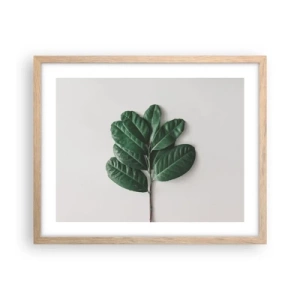 Affiche dans un chêne clair - Poster - Dessin de la nature elle-même - 50x40 cm