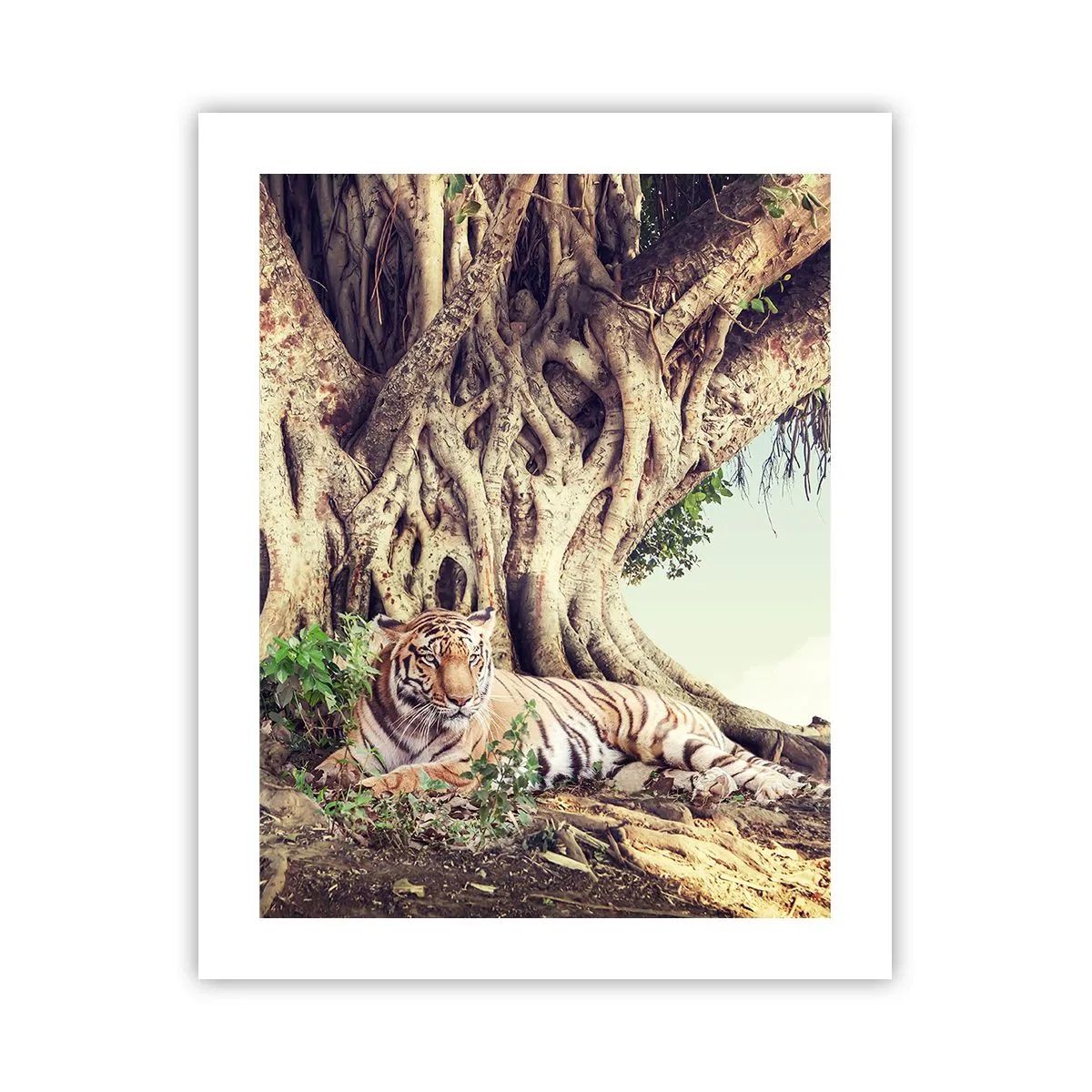 Affiche - Poster - Vue du Livre de la Genèse - 40x50 cm