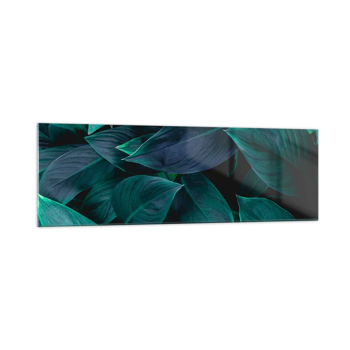 Impression sur verre - Image sur verre - Gros plan de feuilles vertes sur fond sombre - 160x50cm - le vert lui-même - Décoration murale moderne pour le salon et la chambre ARTTOR