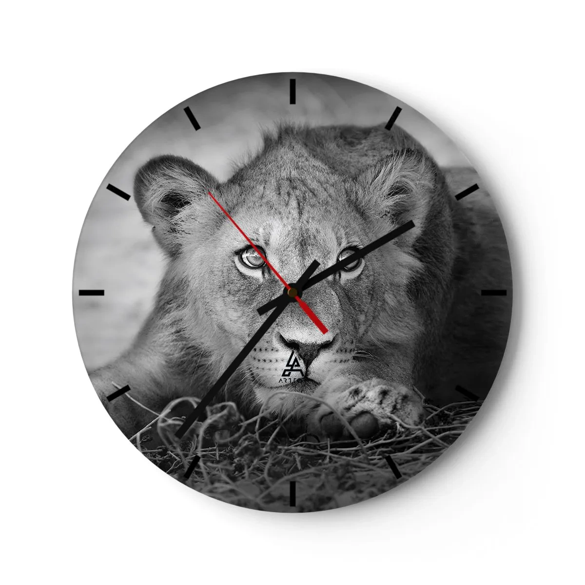 Horloge murale - Pendule murale - Un jeune lion allongé sur le sol en noir et blanc - 30x30cm - Chiot royal - Décoration murale moderne pour le salon, la cuisine et la chambre ARTTOR