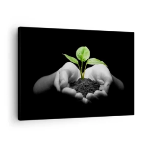 Impression sur toile - Image sur toile - Mains tenant une plante verte sur fond noir - 70x50cm - J'aime la nature, je la protège - Décoration murale moderne pour le salon et la chambre ARTTOR