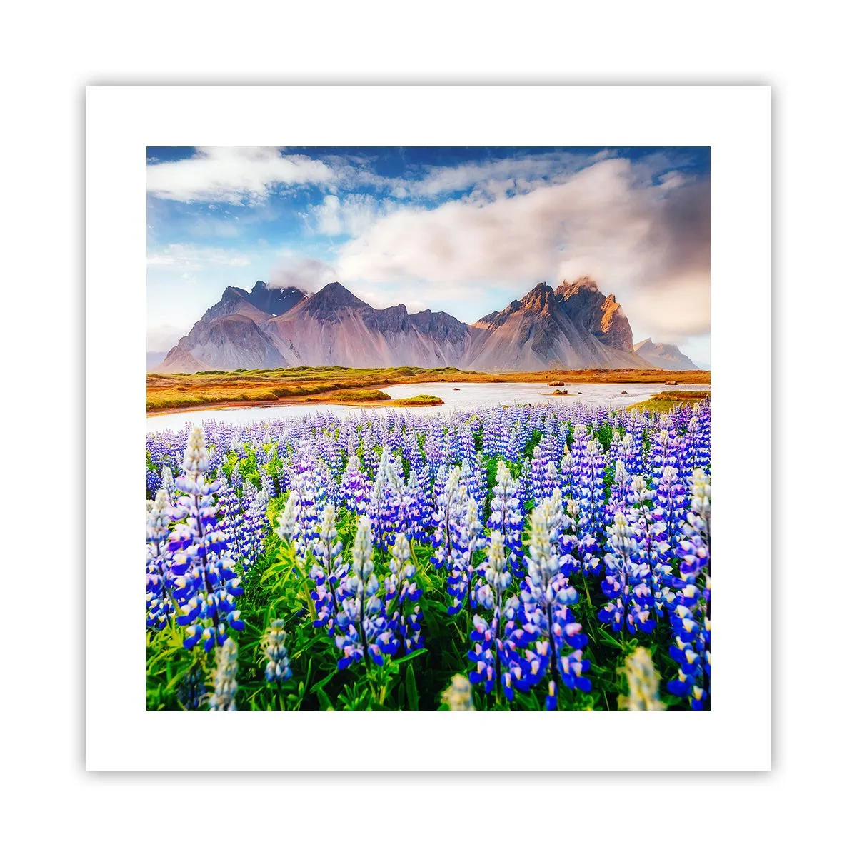 Affiche - Poster - La force et l'austérité côtoient la douceur - 40x40 cm