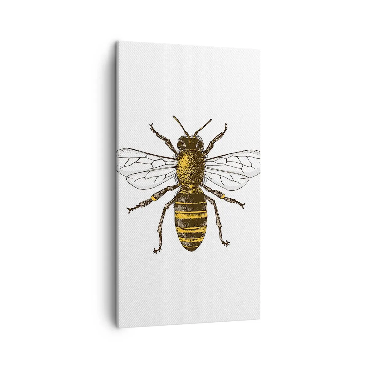 Impression sur toile - Image sur toile - Belle et bonne - 45x80 cm