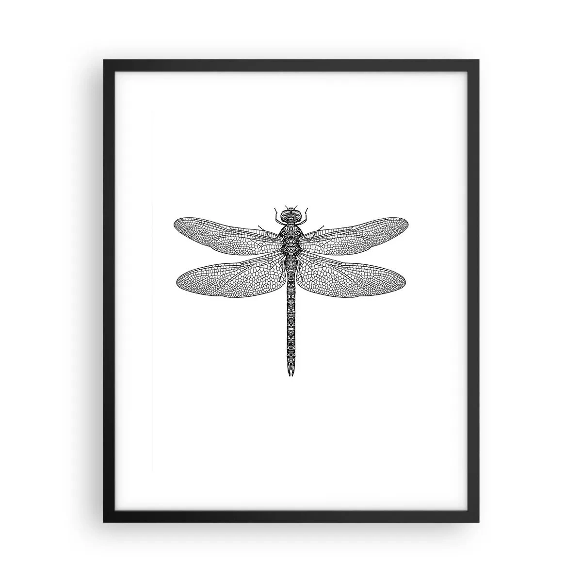 Affiche dans un cadre noir - Poster - Précision de la nature - 40x50 cm