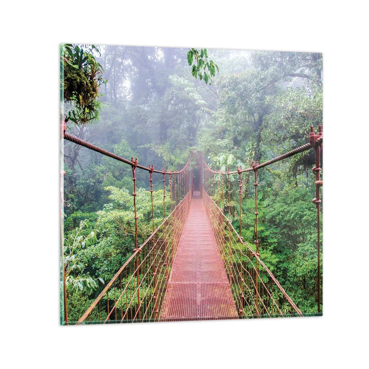 Impression sur verre - Image sur verre - Suspendu sur les couronnes - 60x60 cm