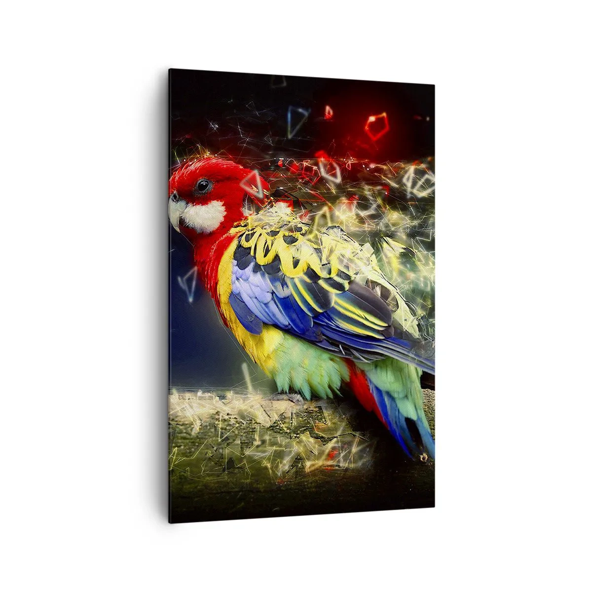 Impression sur toile - Image sur toile - Un perroquet aux couleurs vives sur un fond d'effets de lumière - 80x120cm - Messager d'éclat - Décoration murale moderne pour le salon et la chambre ARTTOR