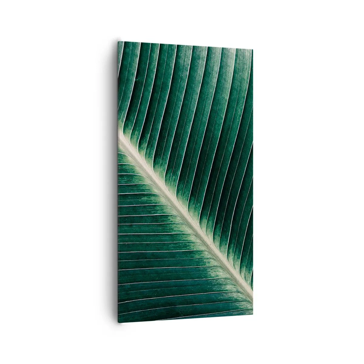 Impression sur toile - Image sur toile - Le rythme de la nature - 65x120 cm