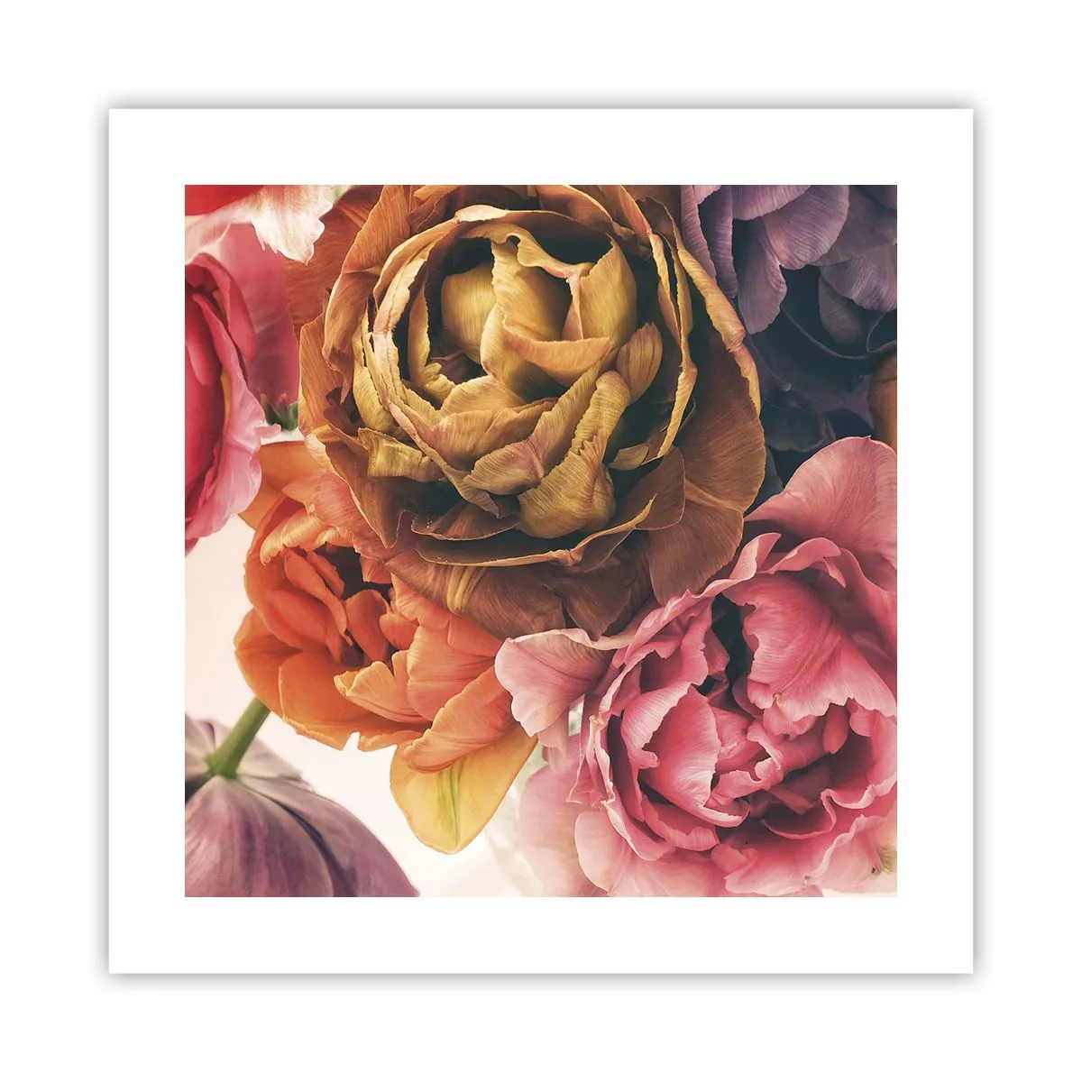 Affiche - Poster - La fête de la vie - 40x40 cm