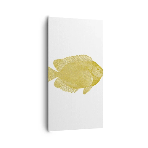 Impression sur toile - Image sur toile - Du poisson et c'est tout - 65x120 cm