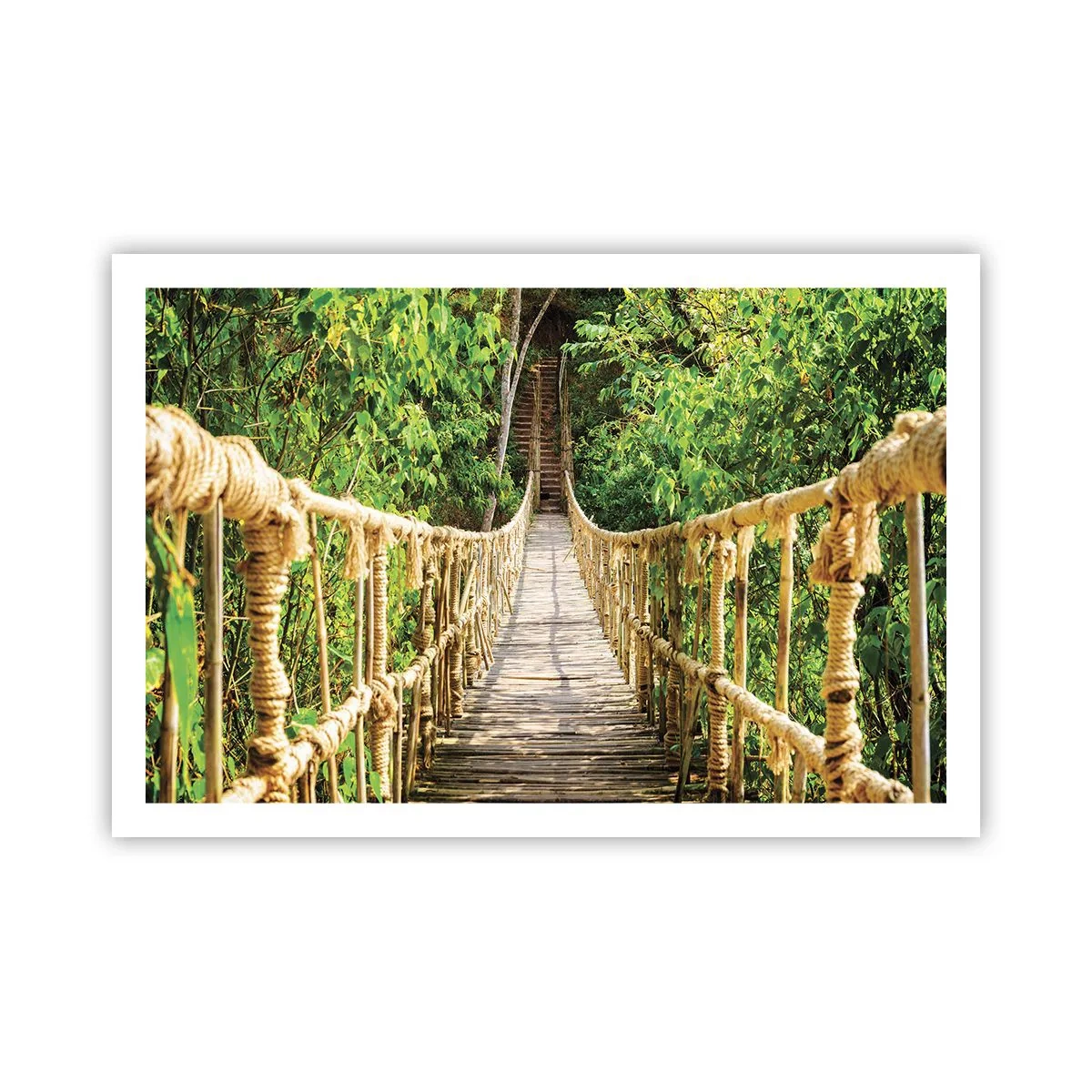 Affiche - Poster - Suspendu dans la nature - 91x61 cm