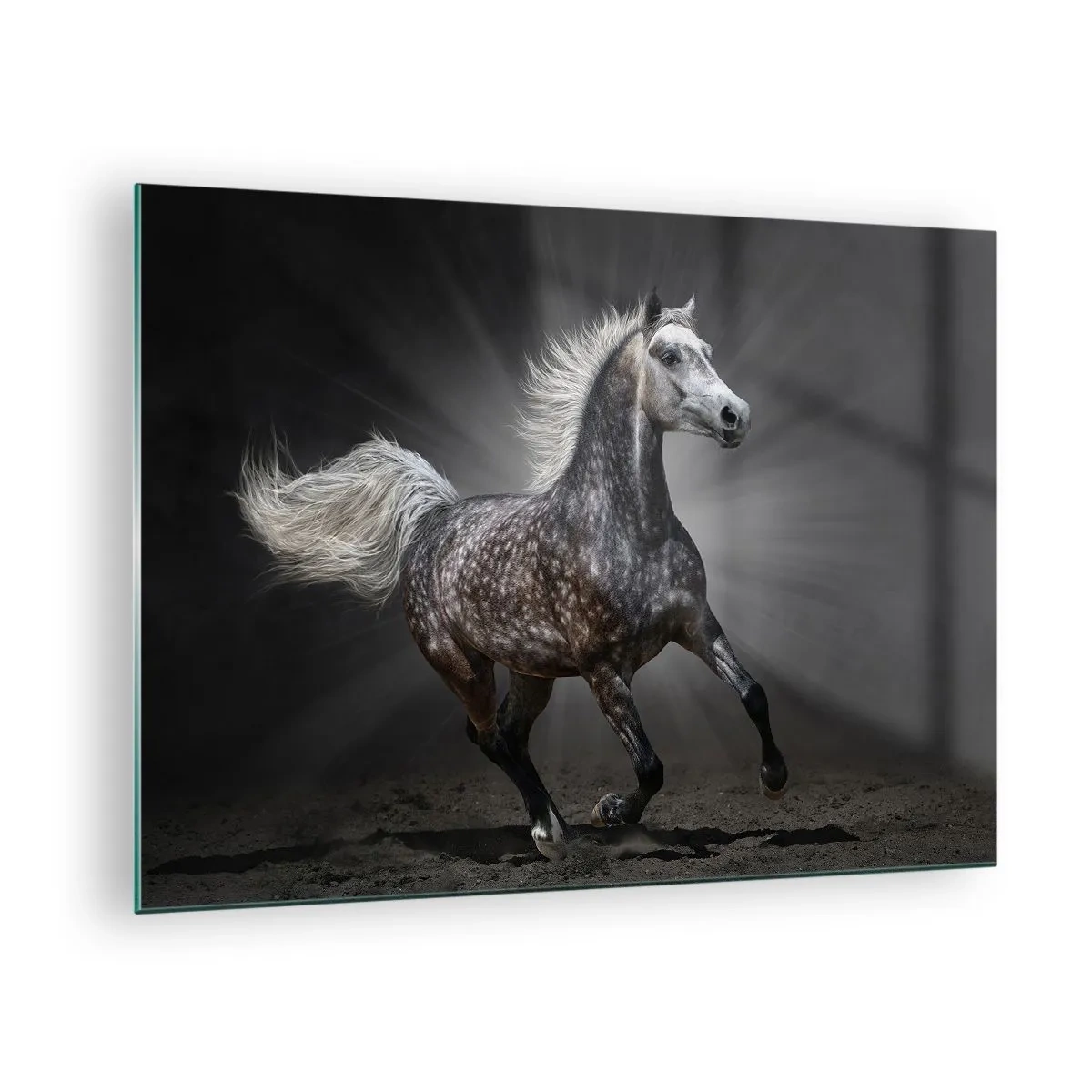 Impression sur verre - Image sur verre - Un cheval au galop sur un fond sombre avec un effet d'éclairage. - 70x50cm - Le gris est beau - Décoration murale moderne pour le salon et la chambre ARTTOR