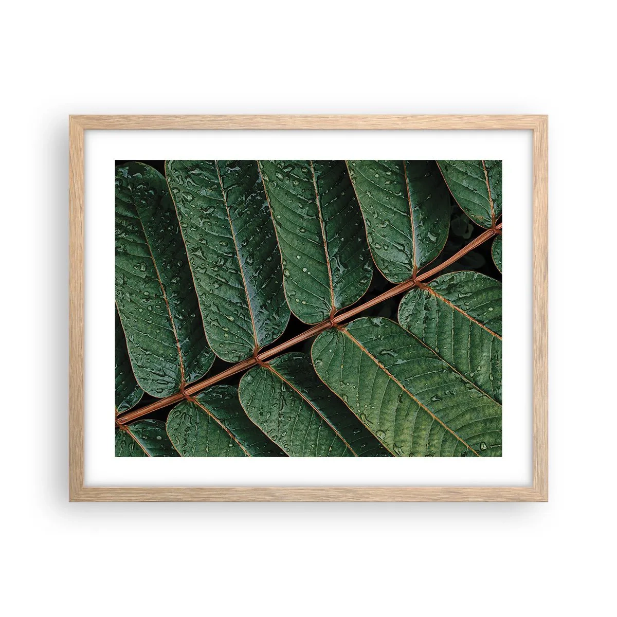 Affiche dans un chêne clair - Poster - Au rythme de la verdure - 50x40 cm