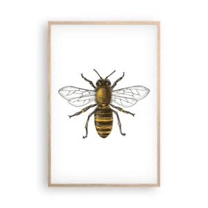 Affiche dans un chêne clair - Poster - Belle et bonne - 61x91 cm