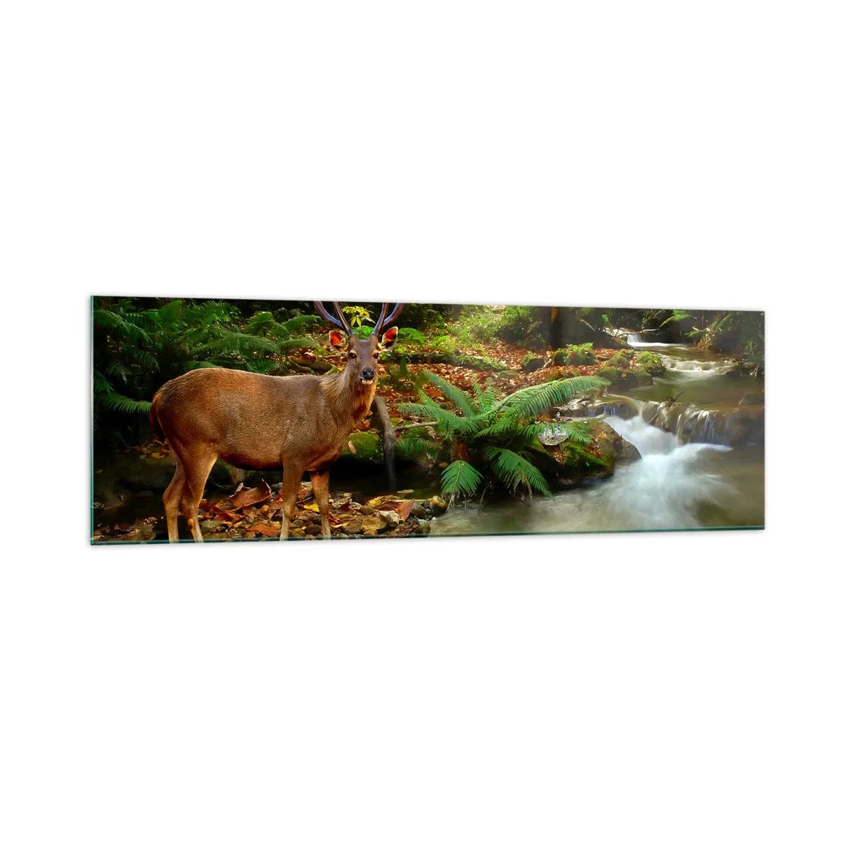 Impression sur verre - Image sur verre - Un cerf près d'un ruisseau entouré de verdure dans la forêt - 160x50cm - Bienvenue dans mon monde - Décoration murale moderne pour le salon et la chambre ARTTOR