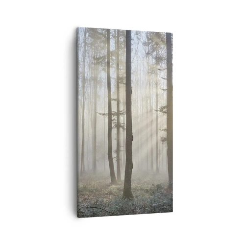 Impression sur toile - Image sur toile - Le brouillard s'est aussi réveillé - 45x80 cm