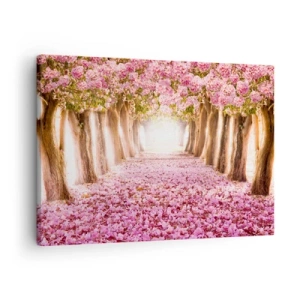Impression sur toile - Image sur toile - Une avenue d'arbres fleuris aux tons roses - 70x50cm - La route du paradis - Décoration murale moderne pour le salon et la chambre ARTTOR