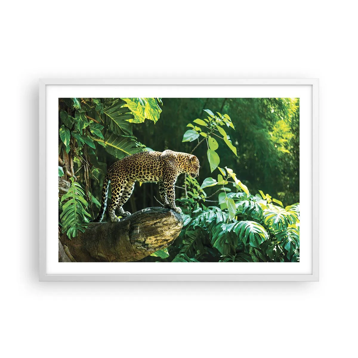 Affiche dans un cadre blanc - Poster - À la chasse? - 70x50 cm