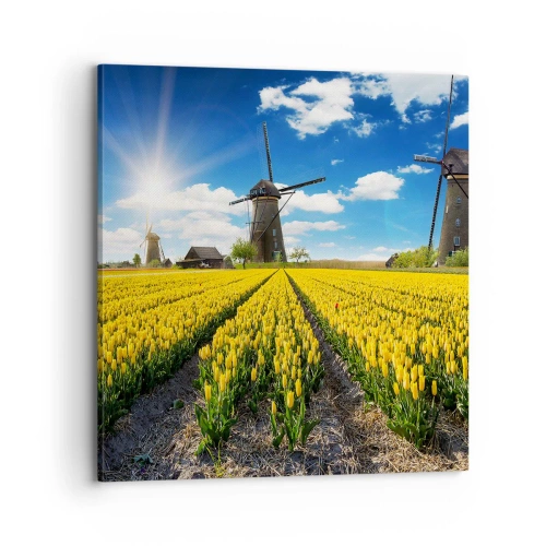 Impression sur toile - Image sur toile - Ça ne pourrait pas être plus hollandais - 70x70 cm