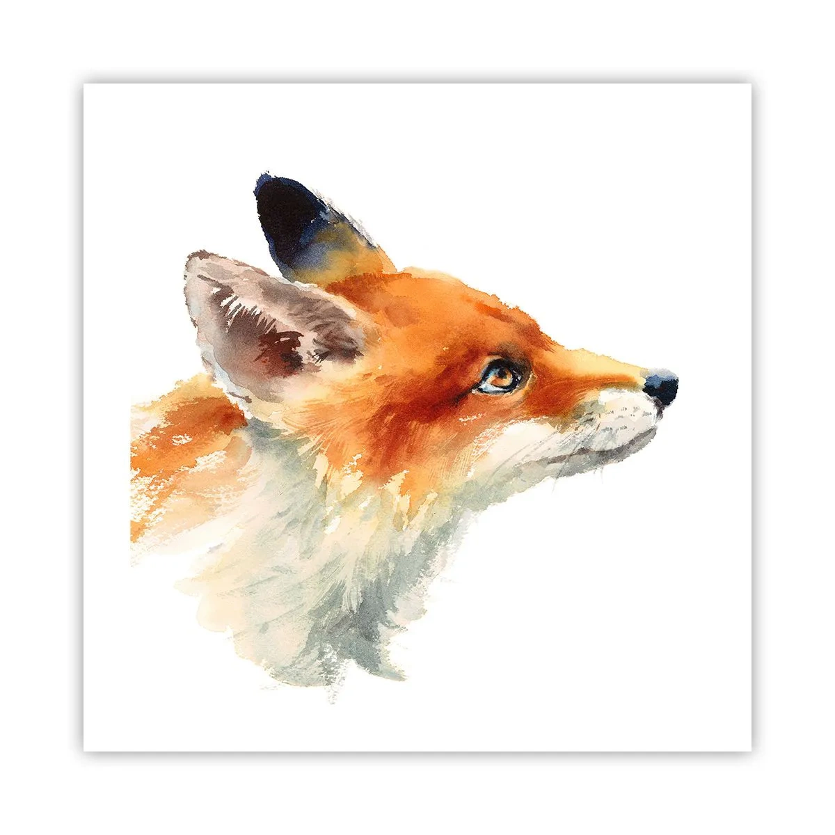 Affiche - Poster - Vous ne pouvez jamais être trop prudent - 50x50 cm