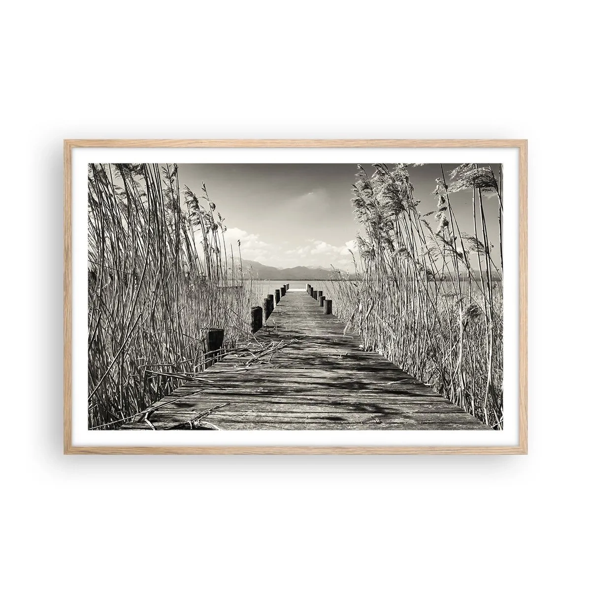 Affiche dans un chêne clair - Poster - Dans le calme de l'herbe - 91x61 cm