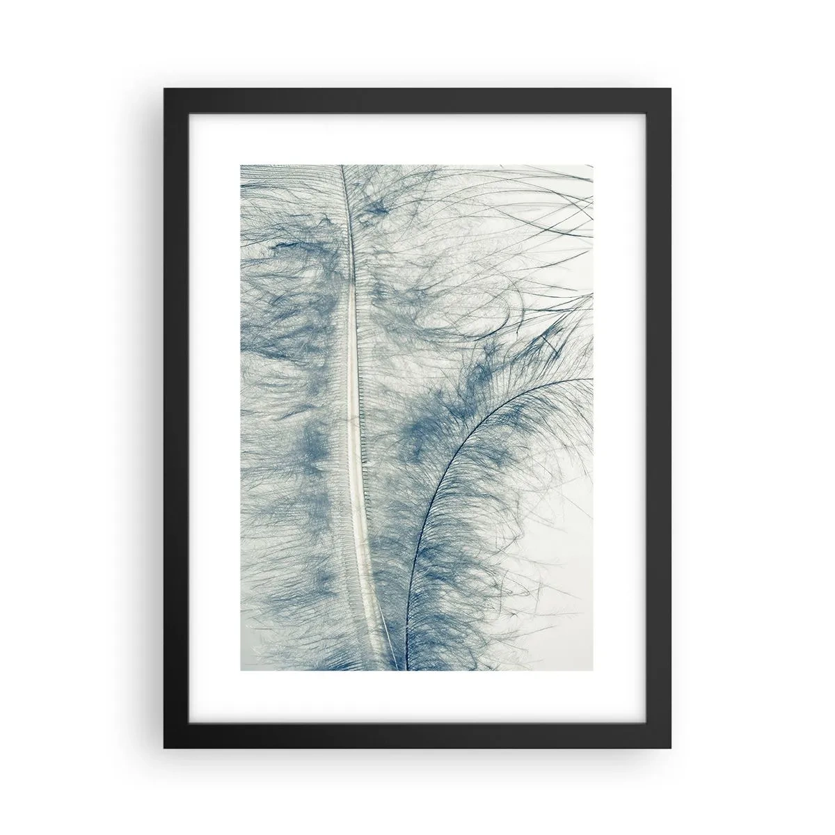 Affiche dans un cadre noir - Poster - Les sept natures - 30x40 cm