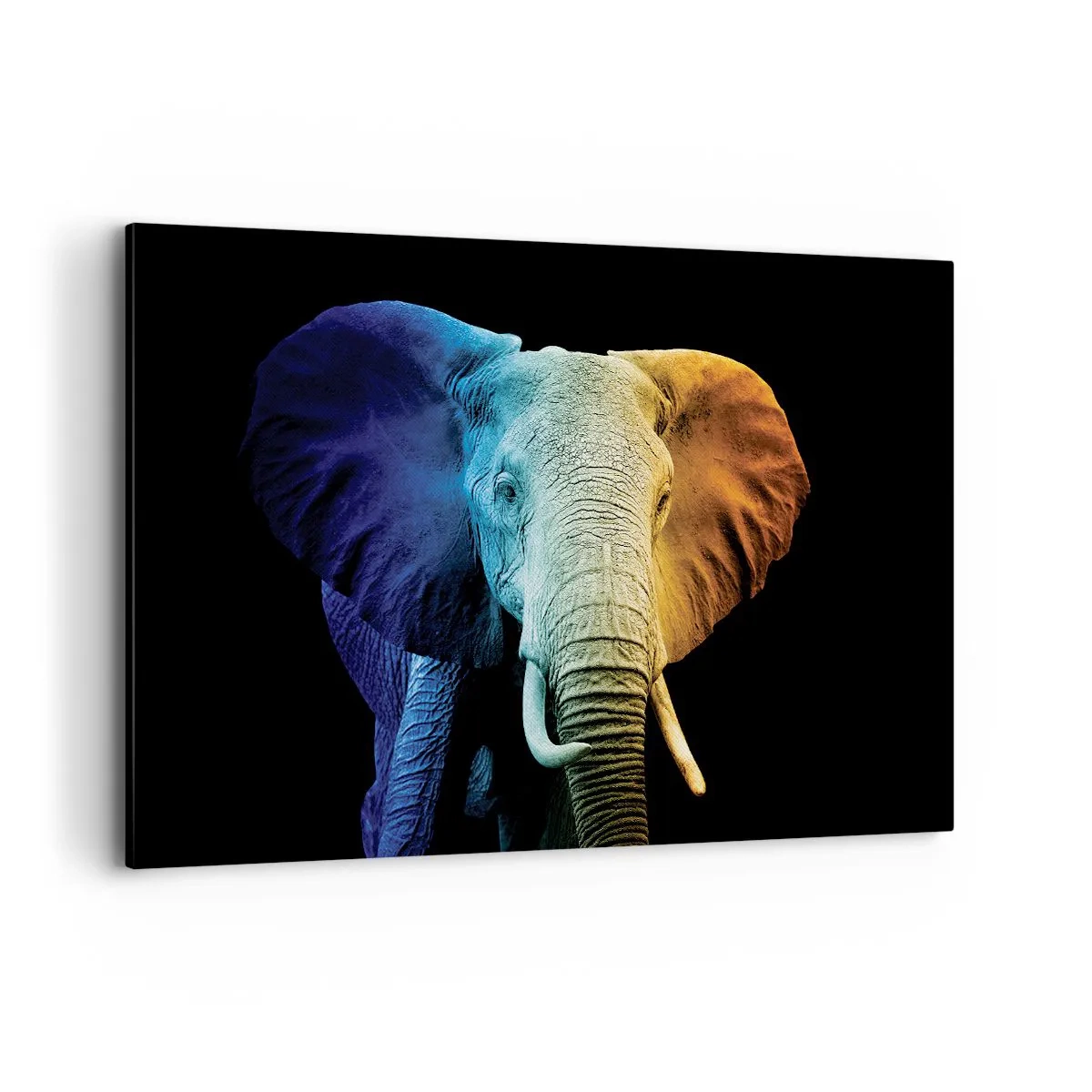 Impression sur toile - Image sur toile - Portrait d'éléphant aux couleurs de l'arc-en-ciel - 120x80cm - Excentrique, pas bizarre - Décoration murale moderne pour le salon et la chambre ARTTOR