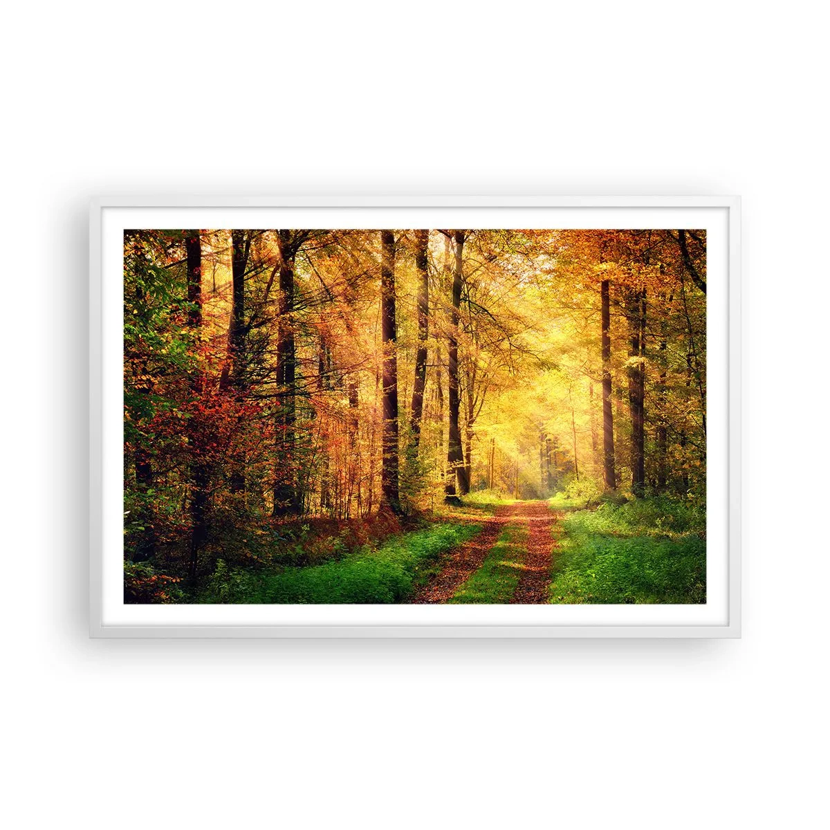 Affiche dans un cadre blanc - Poster - Silence d'or en forêt - 91x61 cm