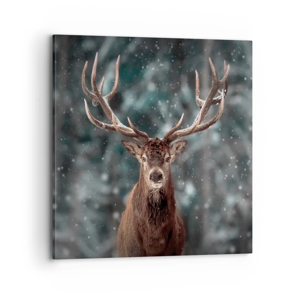 Impression sur toile - Image sur toile - Roi de la forêt couronné - 70x70 cm