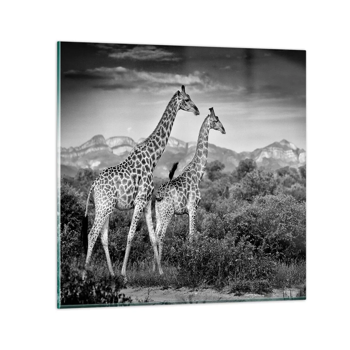 Impression sur verre - Image sur verre - Hautes sphères en Afrique - 50x50 cm